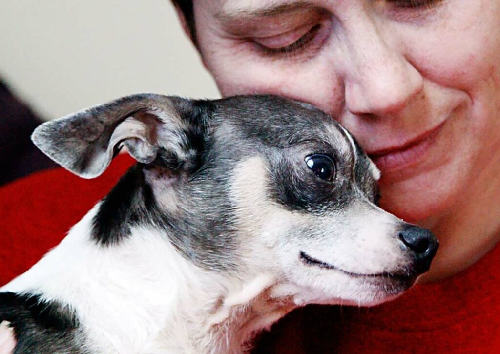 Couple Turns Old School Into Senior Dog Sanctuary, Loves Them Til Their Last Breath - Imagine FURever Ranch