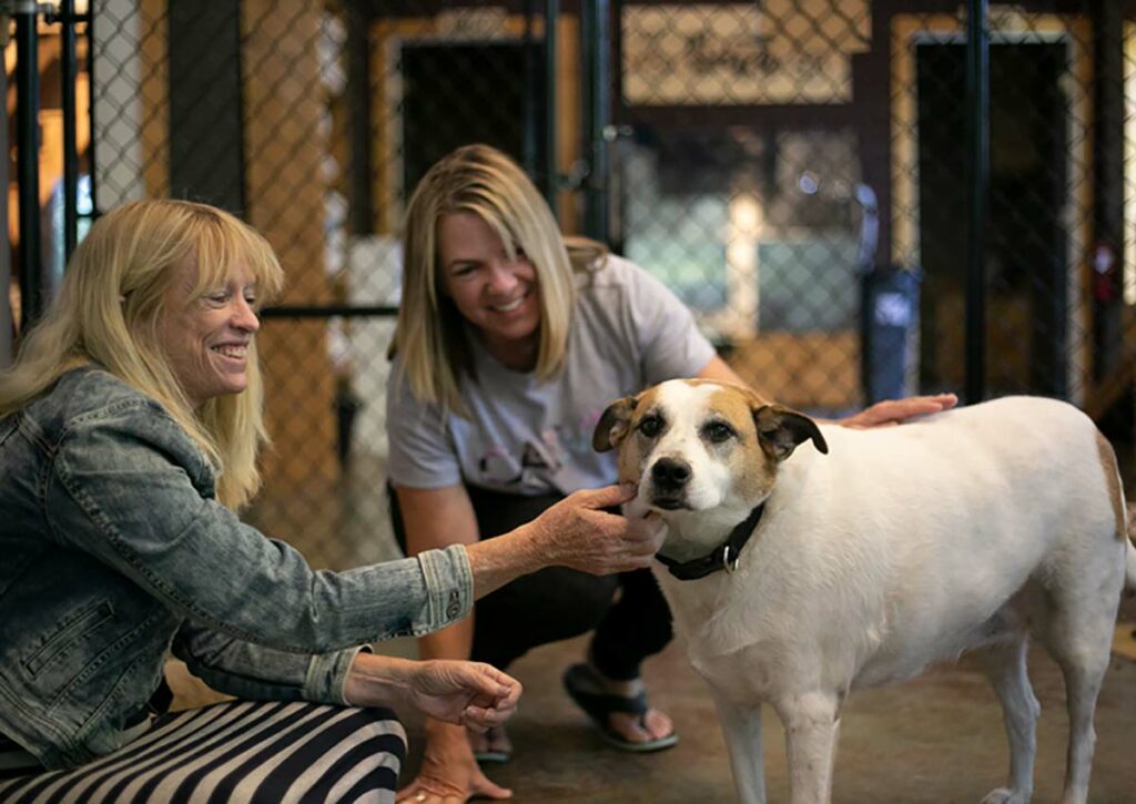 Imagine Furever Ranch opens in Shawnee as safe haven for senior dogs — how you can visit, volunteer