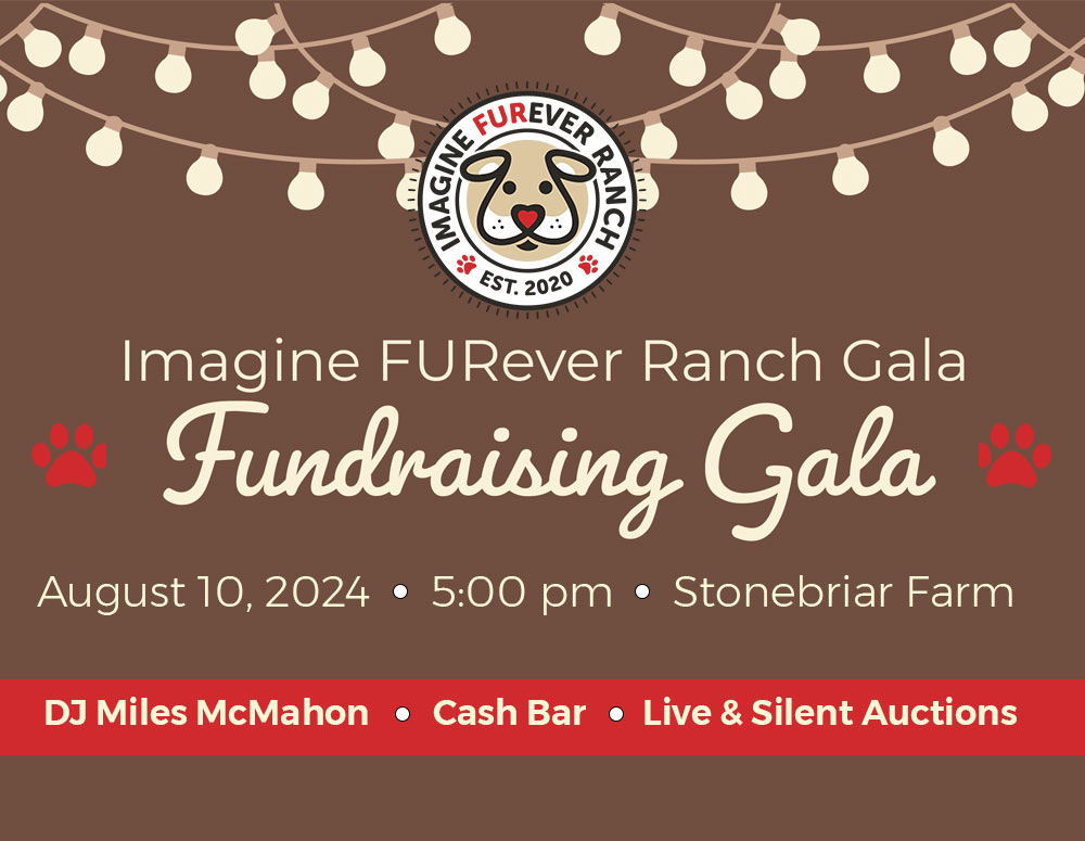 Imagine FURever Ranch Fundraising Gala 2024