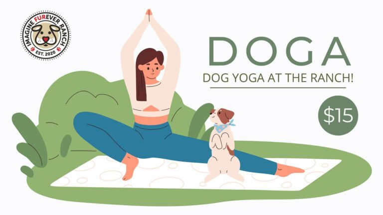 DOGA Dog Yoga at The Ranch!