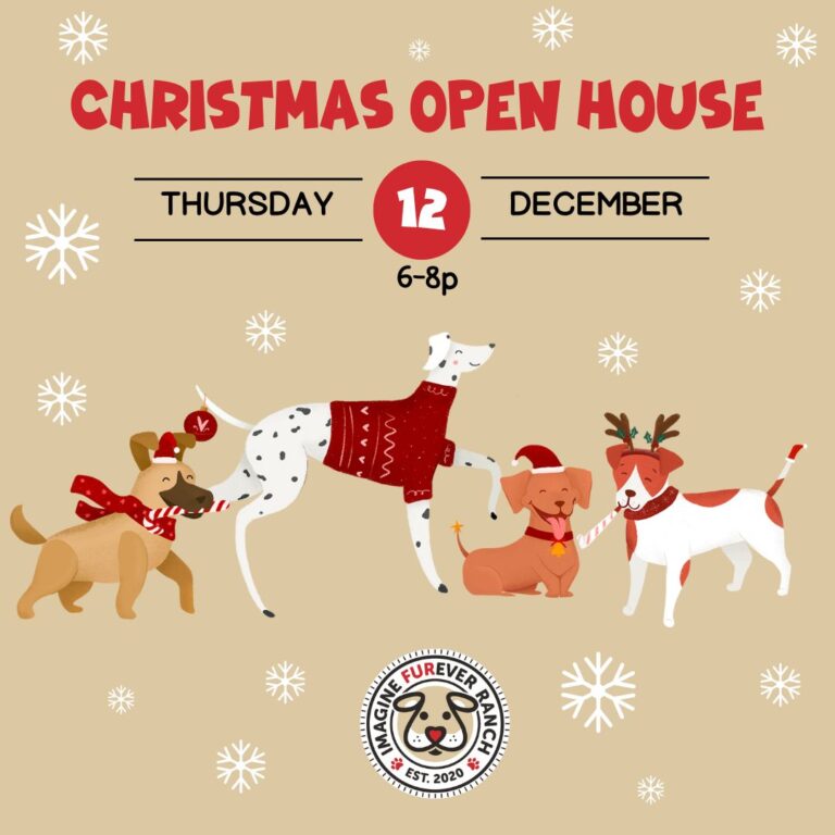 Christmas Open House