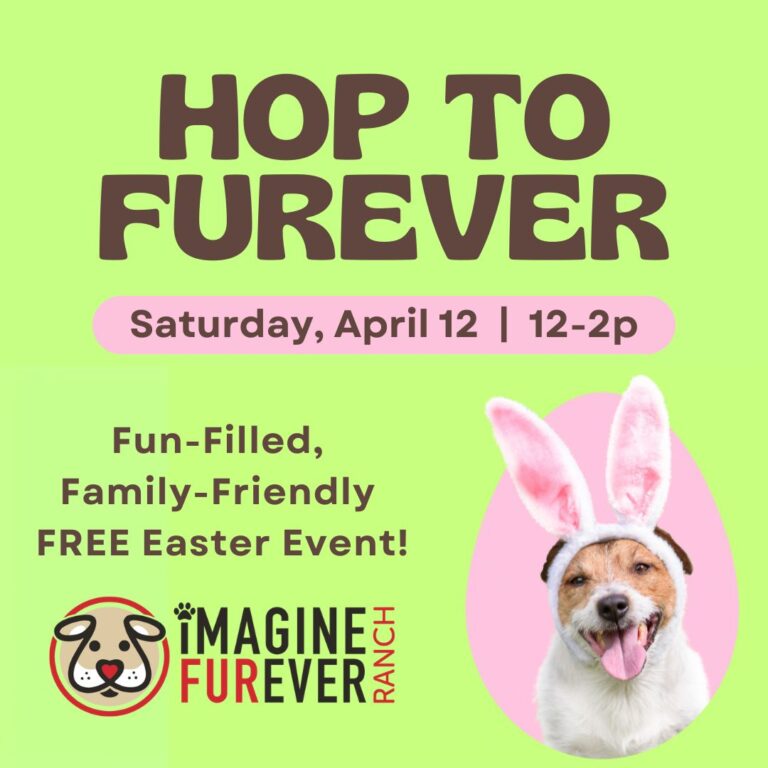 Hop to FURever!